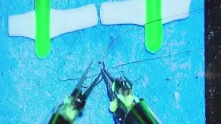 Yale New Haven Health