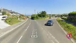 "Year of octopus" declared after warmer seas leads to record numbers