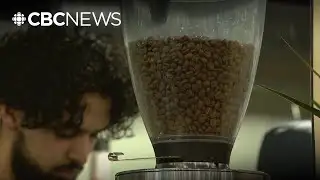 Yemeni Coffee comes to Canada