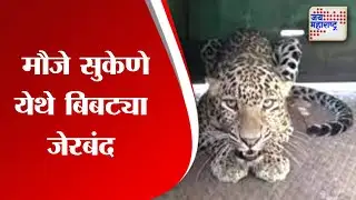 yeola | निफाड तालुक्यातील मौजे सुकेणे येथे बिबट्या  जेरबंद | Marathi News