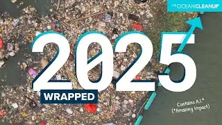 Yes, humans are winning the fight against ocean plastic pollution