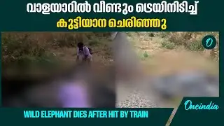 Yeshwantpur-Kannur Express hit by Wild Elephant | Palakkad