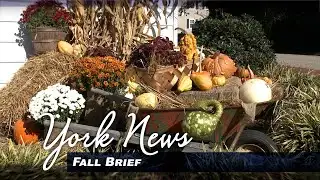 York News - Fall Brief
