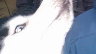 #yosho #cybrog#gaming