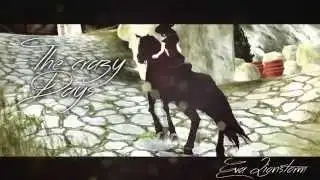 ❝Young And Beautiful❞ // 8oo+ ♥