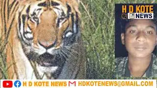 ಕೋಟೆಯಲ್ಲಿ‌ ಹುಲಿ ದಾಳಿಗೆ ಯುವಕ ಬಲಿ|young killed by tiger attack in h d kote