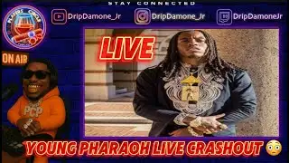 Young Pharaoh is back and in crashout mode