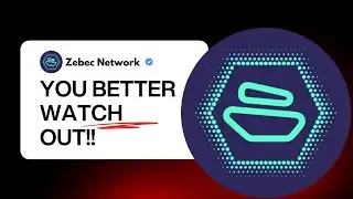 Zebec Network ZBCN Holders, The Warning Signs Are Still Here
