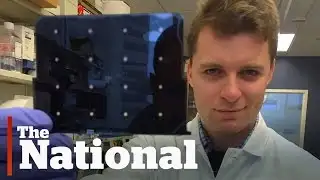 Zika | New Fast, Cheap Test Developed